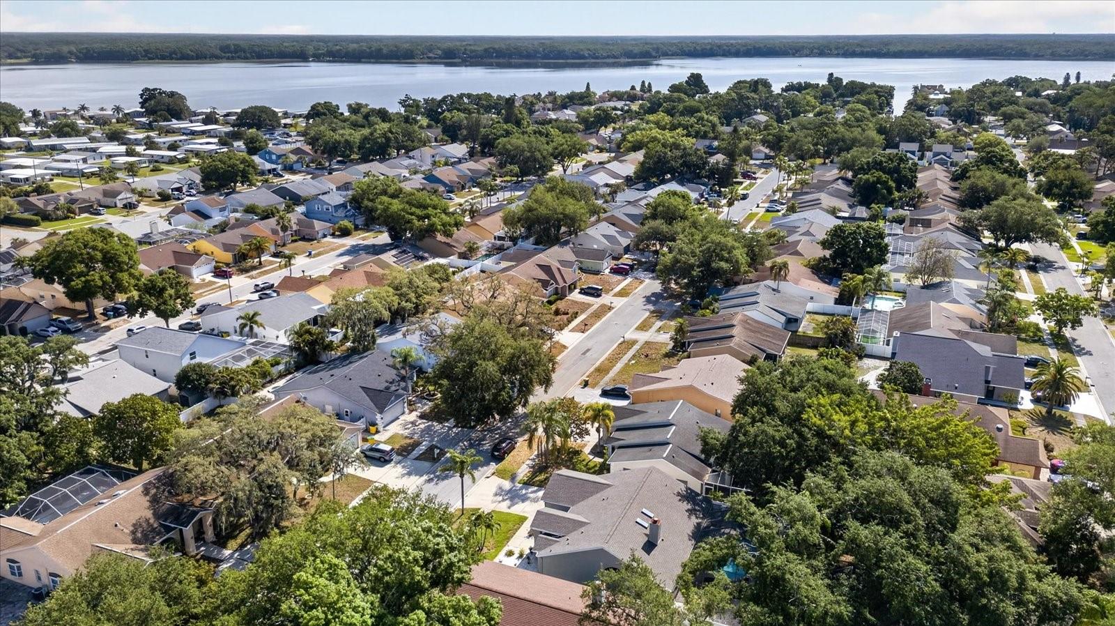 CROSSINGS AT LAKE TARPON - Residential