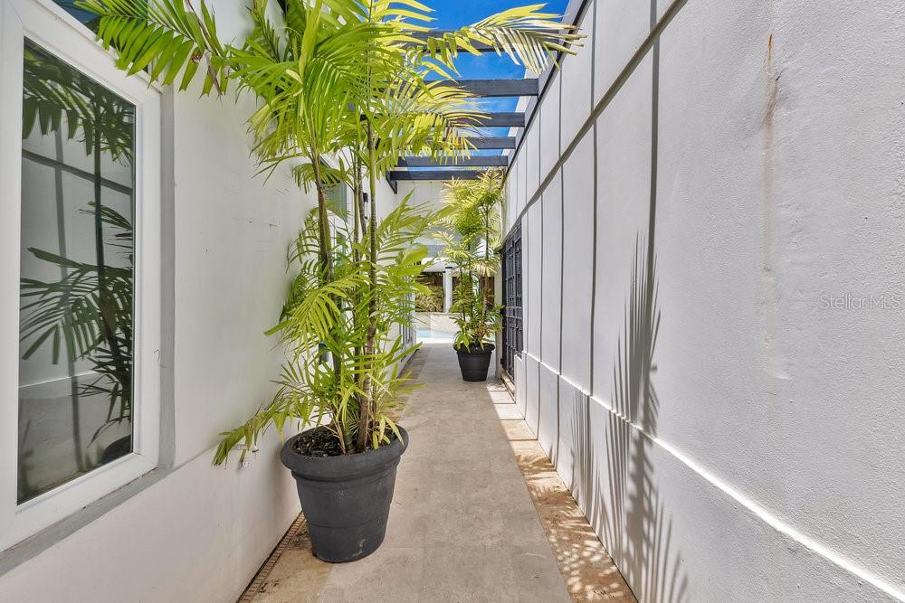 PASEO LAS PALMAS - Residential