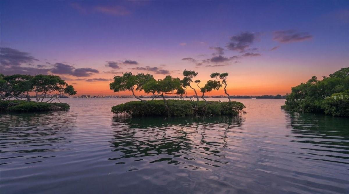 QUEENS HARBOUR - Residential