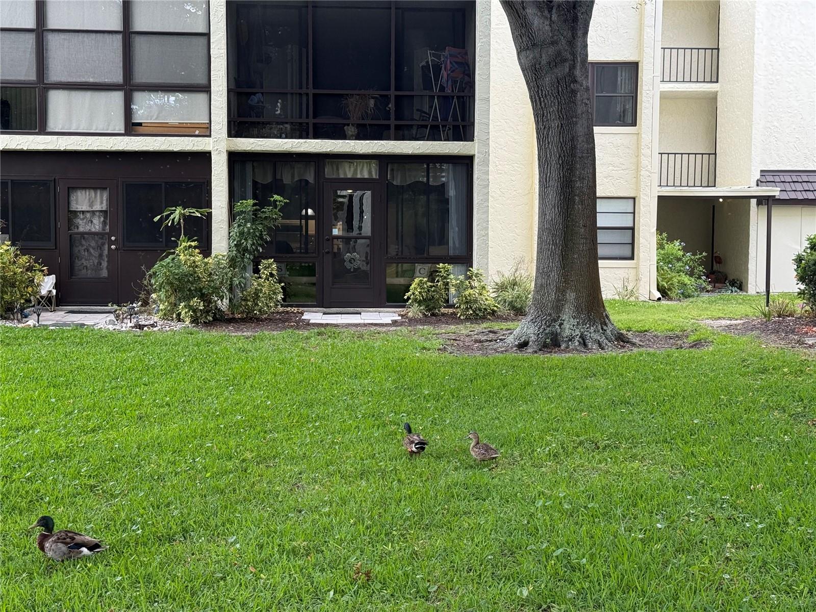 LAKEVIEW OF LARGO - Residential
