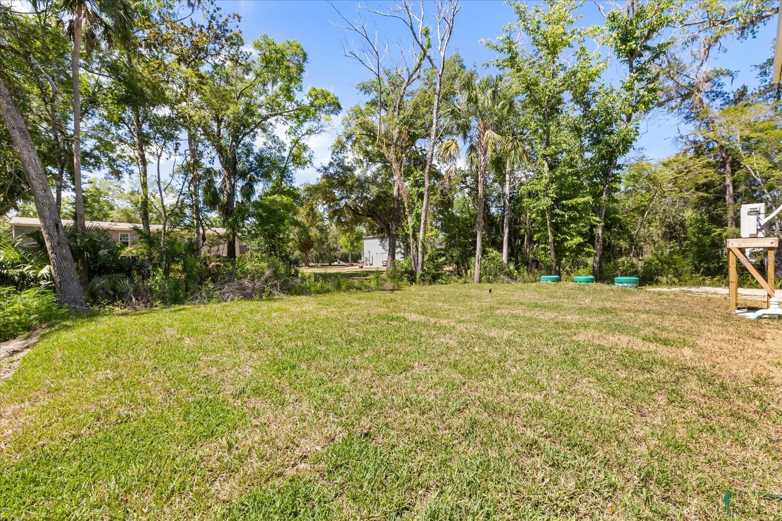 HOMOSASSA TOWN - Residential