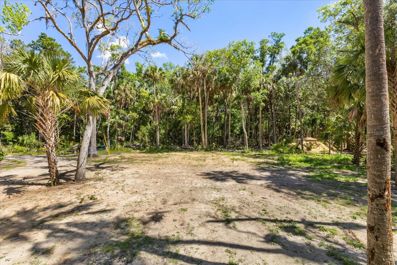 HOMOSASSA TOWN - Residential