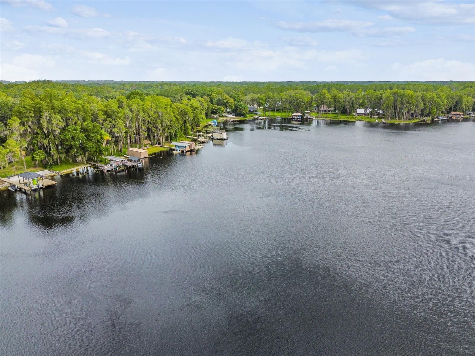 DOLCE VITA - Residential