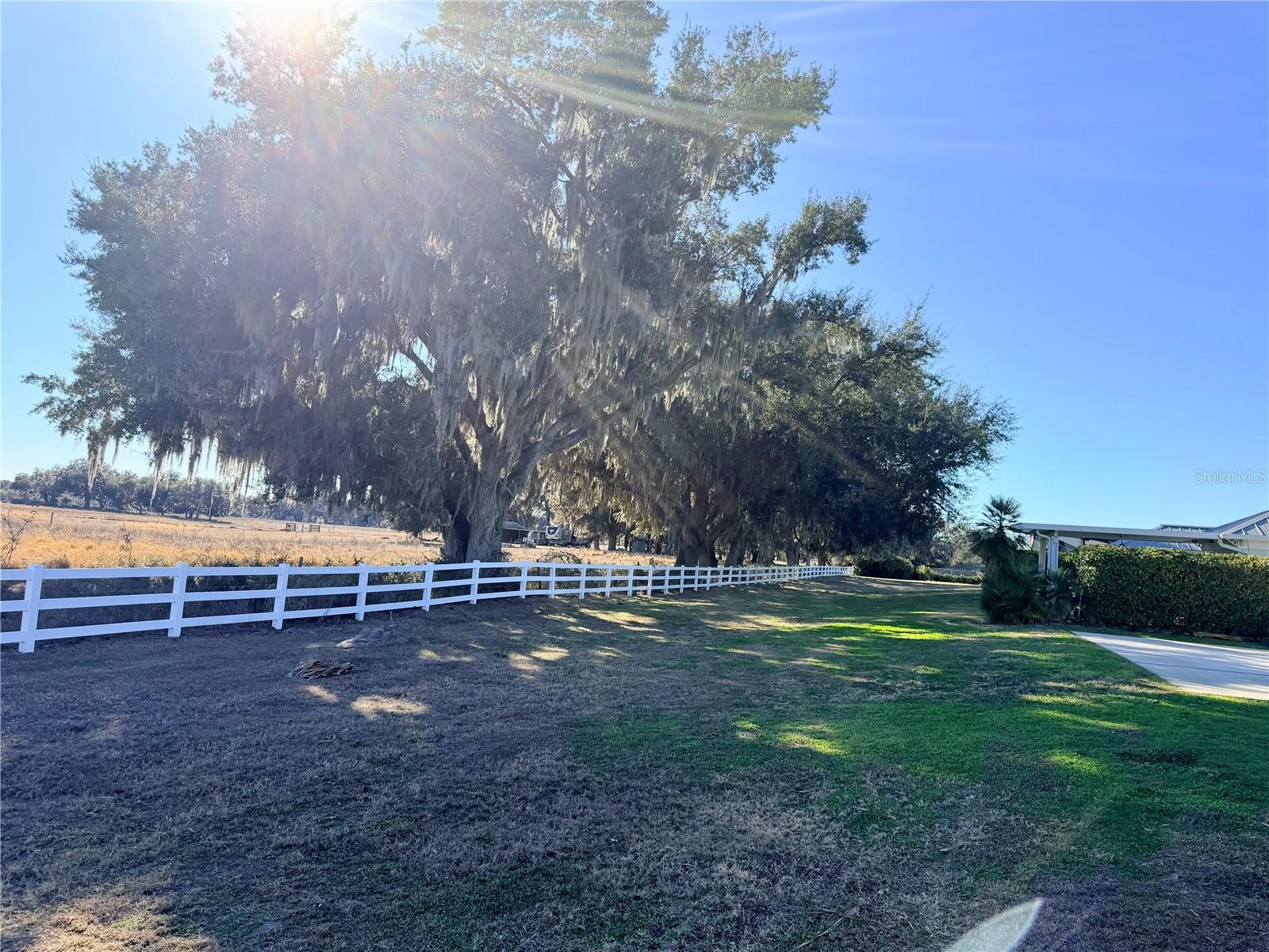 FLORIDA GRANDE MOTOR COACH RESIDENCE - Land