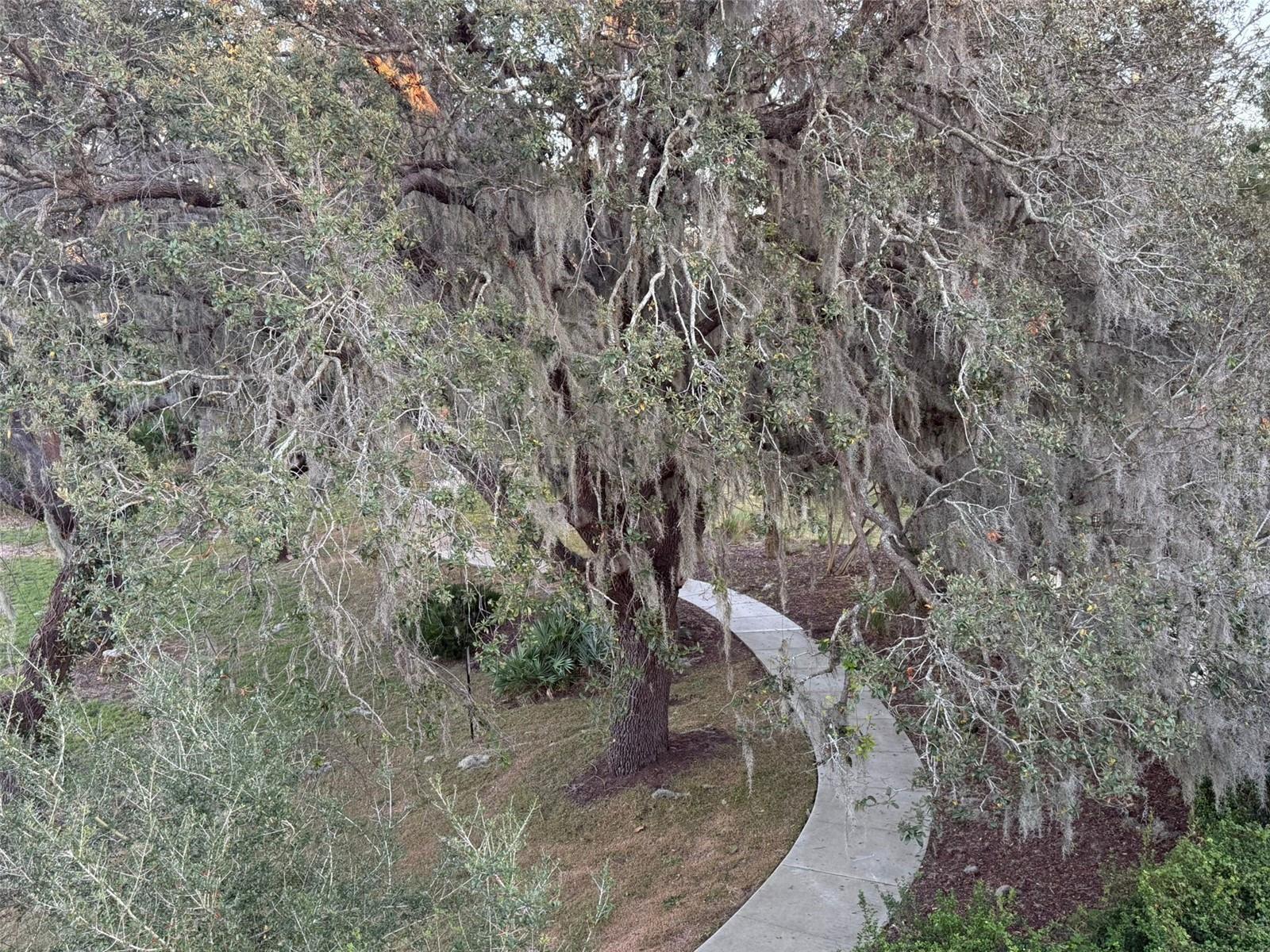 WATERSIDE ON JOHNS LAKE PH 1 - Residential Lease