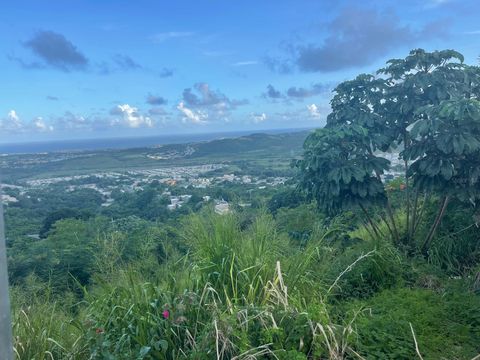 3 CANDELERO 1 HUMACAO 00791