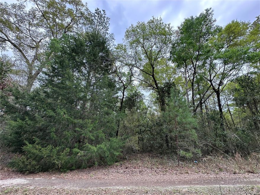 WILLISTON HIGHLANDS GOLF & COUNTRY CLUB ESTATES BUILDING LOT. Just 10 minutes to Williston and 25 minutes to Gainesville. The lot measures about 80' wide on the road and 125' deep. There is no HOA and no time limits to build. Zoned Agricultural/Rural Residential (A/RR) allows for your site-built or manufactured/mobile home. This lot is a great investment for a family or builder, with a lot right across the road also available for sale. The same owner has several parcels of similar size in this neighborhood.