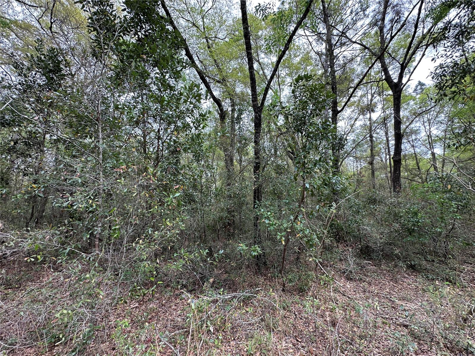 WILLISTON HIGHLANDS GOLF & C CLUB ESTATES - Land