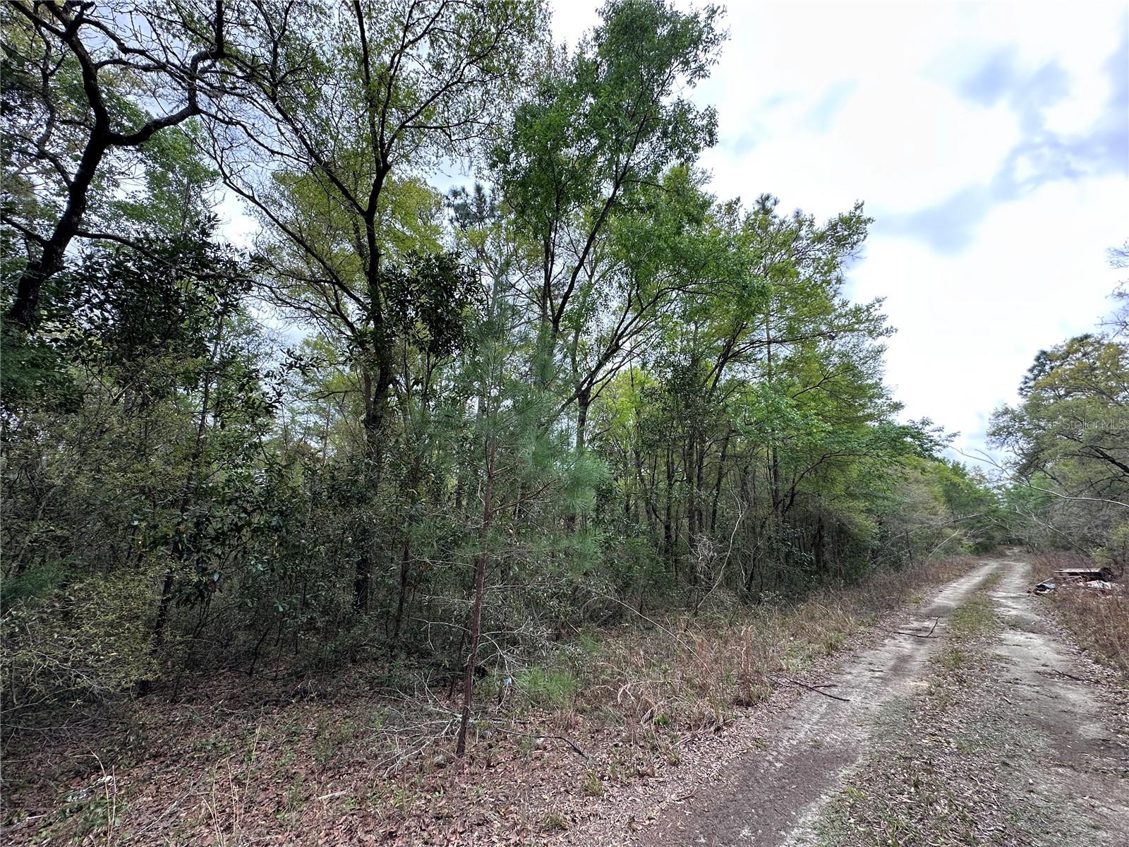 WILLISTON HIGHLANDS GOLF & C CLUB ESTATES - Land