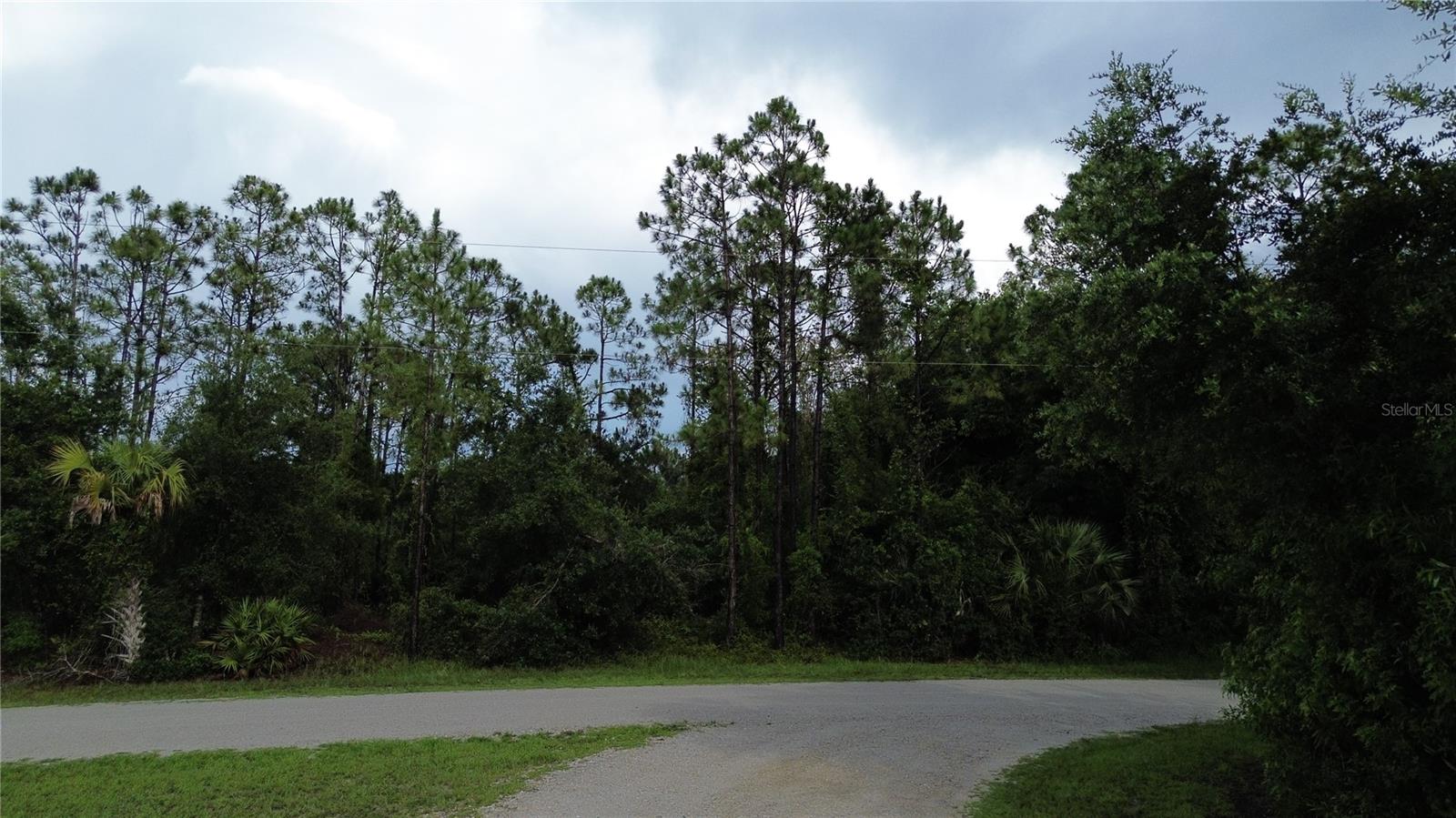 Corner piece of property in expanding Tropical Gulf Acres. Just come and clear and build your new paradise in Florida.