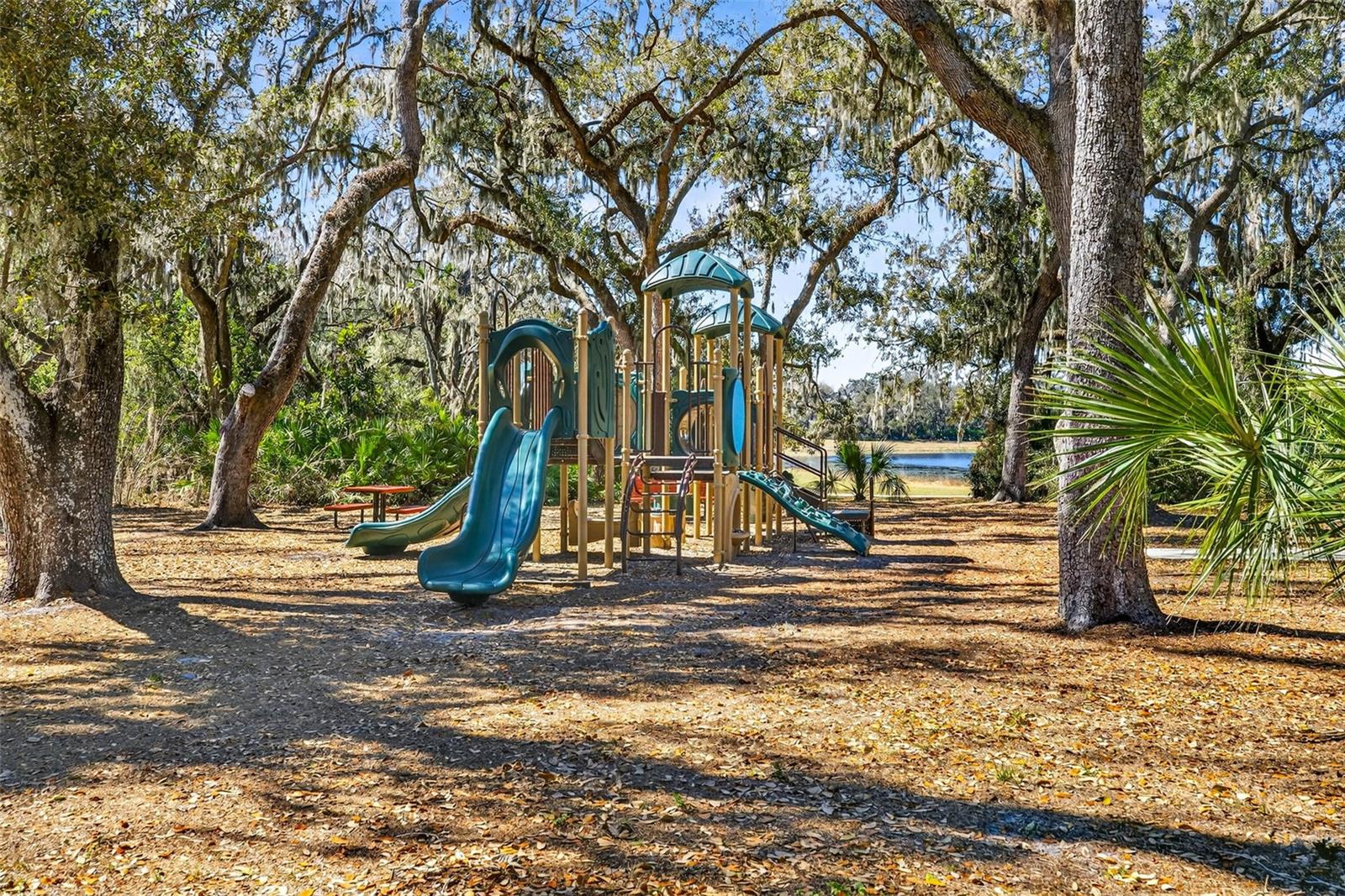 FISHHAWK RANCH WEST PH 2A/ - Residential