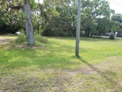 3024 STATE ROAD 46 MOUNT DORA FL 32757
