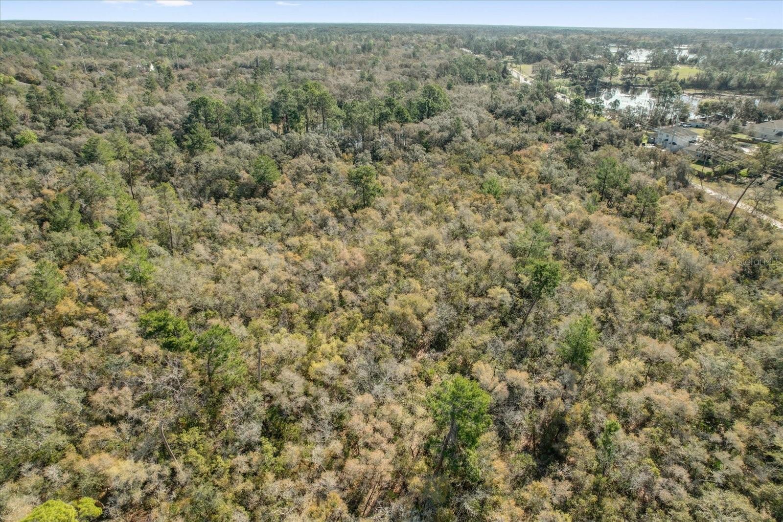 DAVIS PARK ADD 11 - Land