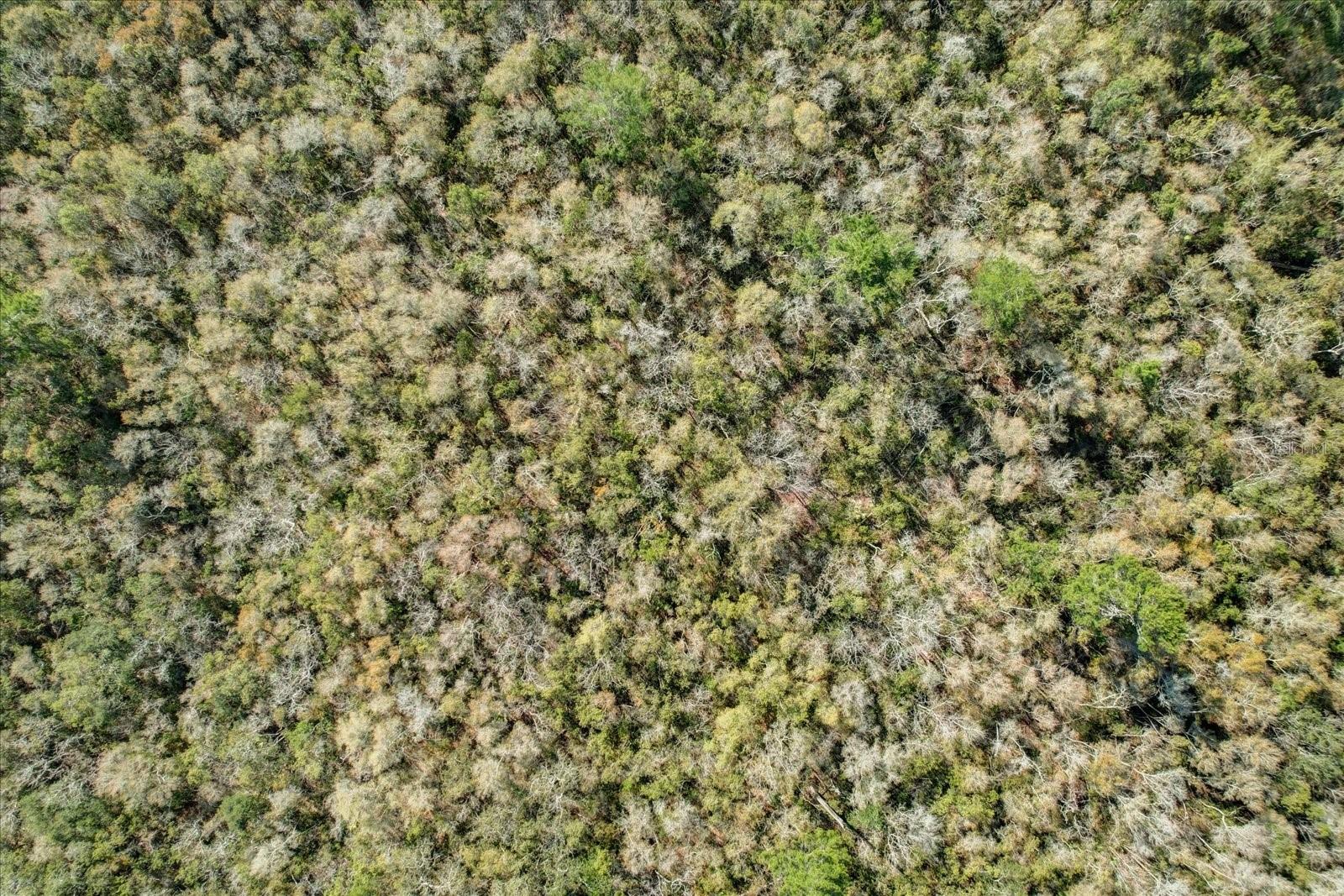 DAVIS PARK ADD 11 - Land