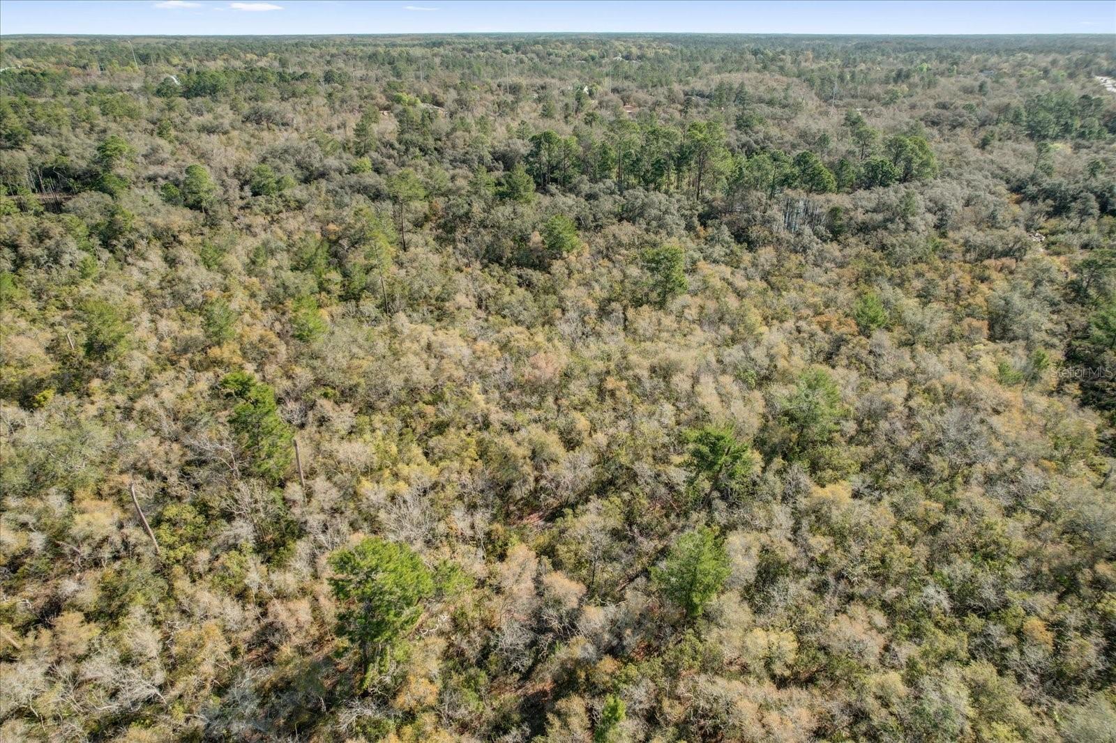 DAVIS PARK ADD 11 - Land