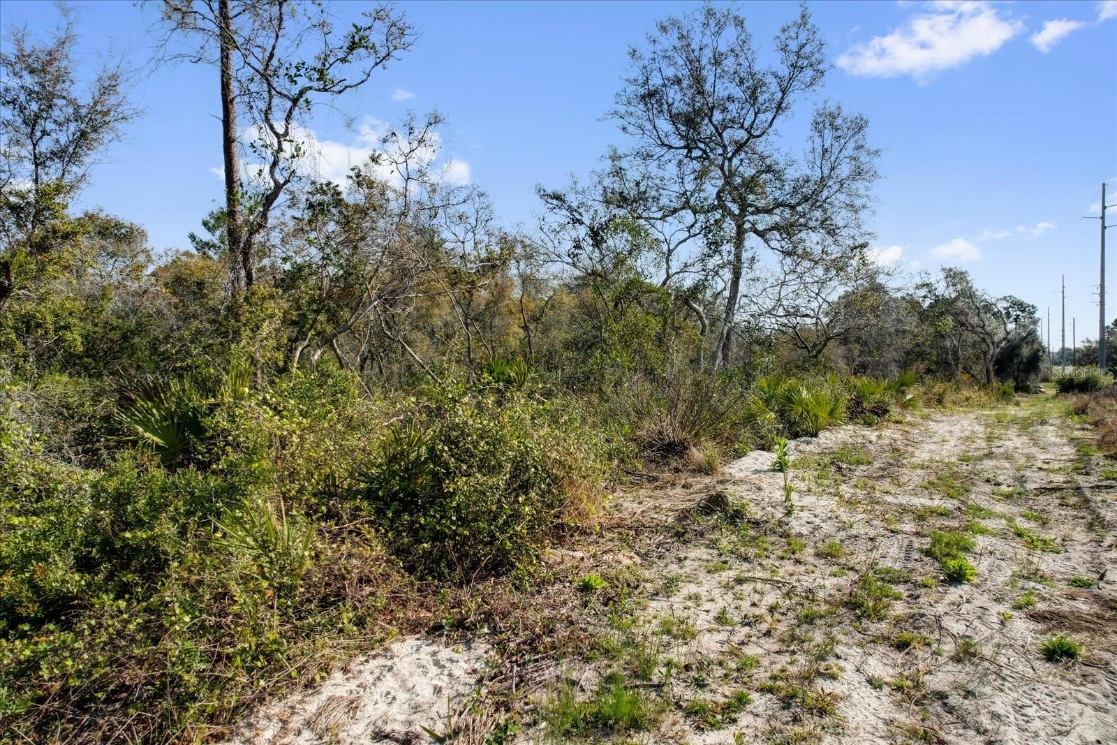 DAVIS PARK ADD 11 - Land