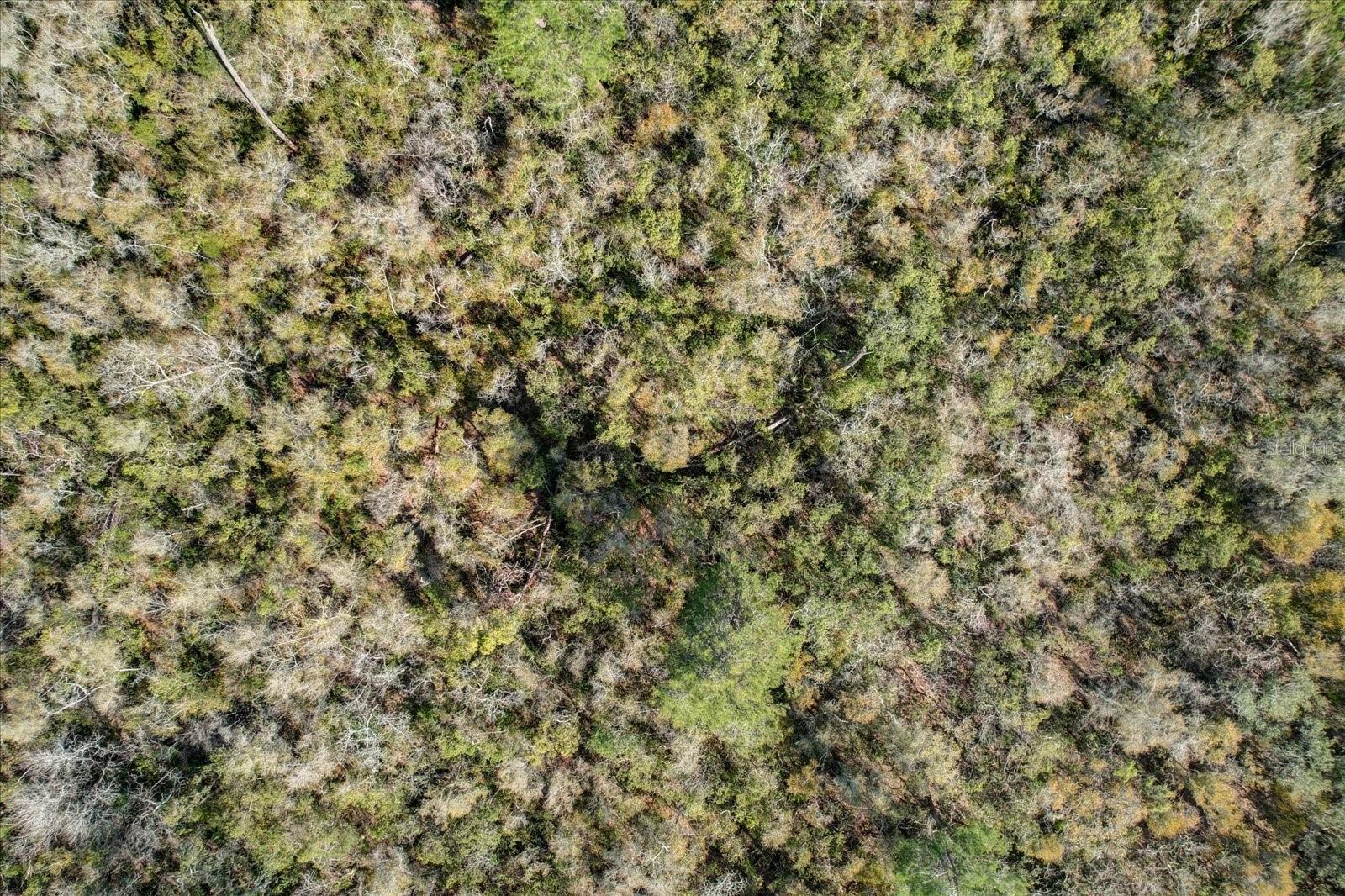 DAVIS PARK ADD 11 - Land