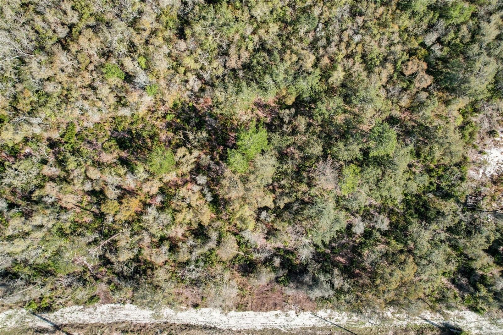 DAVIS PARK ADD 11 - Land