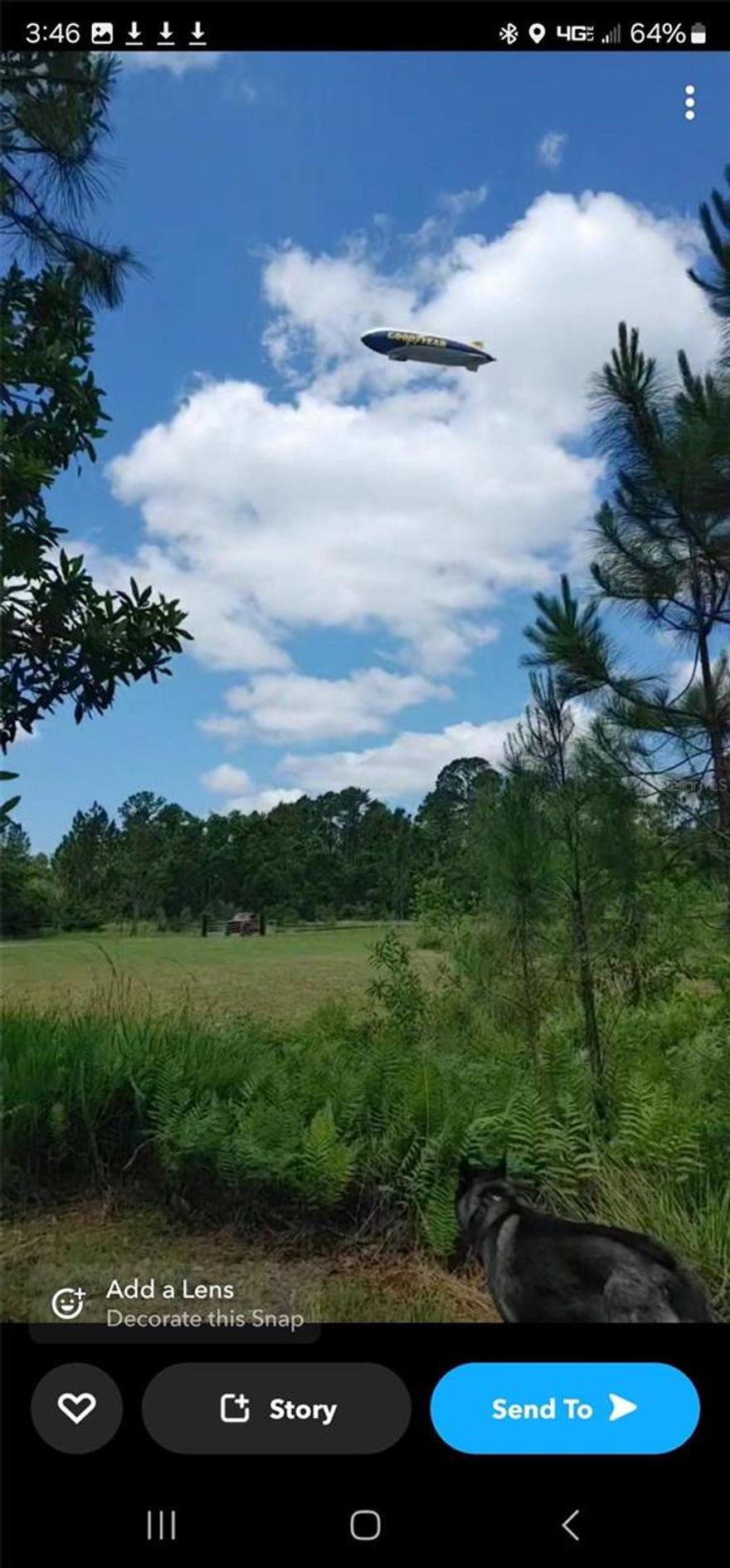 Large vacant  lot in the north part of deltona just over  10 acres  Quiet neighborhood Water and electirc available On private roadway All information should be verified by buyer or buyers agent