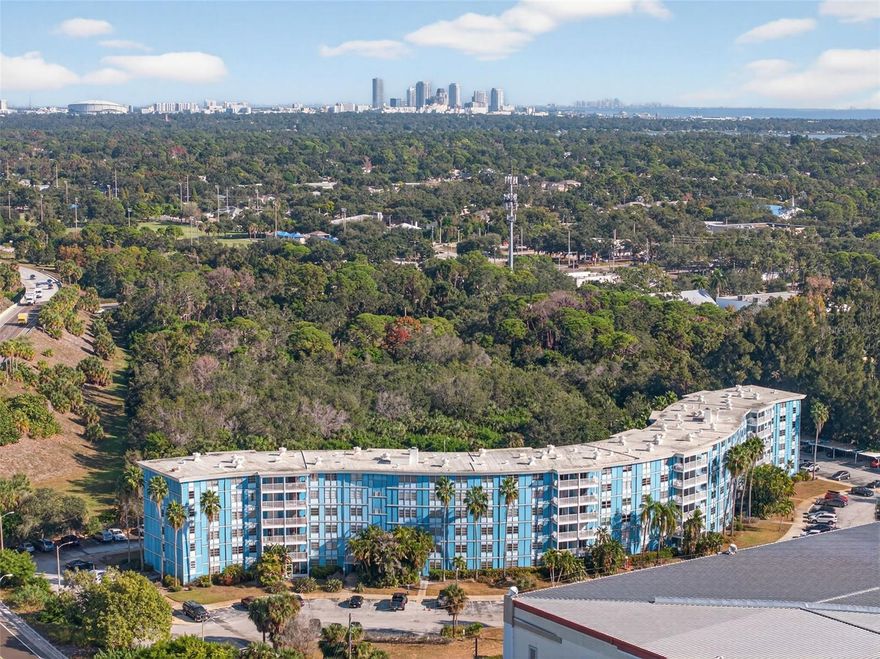 Turnkey 1 Bedroom Condo in Iconic Mid-Century Modern Building – Under $100K in St. Petersburg!

Discover exceptional value in this move-in-ready 1-bedroom, 1-bath condo located on the third floor of The Wave, a striking Mid-Century Modern building with subtle Art Deco influence, built in 1962 and known for its timeless architectural style. This charming unit is completely turnkey and offers a smart, open layout designed for comfort and convenience.

Step inside to an open floorplan that seamlessly connects the kitchen, dining, and living areas—ideal for modern living or entertaining. The kitchen features a breakfast bar, adding additional seating and workspace. The spacious bedroom includes his-and-hers closets, and the bathroom offers a desirable separate water room for added privacy. Enjoy outdoor living on your newly updated balcony overlooking the community pool—a perfect place to unwind.

Beginning January 1, 2026, HOA fees will decrease, and they already include incredible value: cable, internet, sewer, water, trash, landscaping, and building maintenance. The Wave offers elevators, secure key fob access, reserved parking space #108, multiple laundry rooms, a refreshing pool, and an on-site fitness facility—all designed for low-maintenance, budget-friendly ownership.

This condo is a rare opportunity to own property in St. Petersburg for under $100,000, making it ideal for first-time buyers, downsizers, or investors seeking solid value at an attractive entry price point. It also makes an excellent vacation home or rental property thanks to its affordability and amenities.

Conveniently located near I-275, the Skyway Bridge, Downtown St. Pete, and stunning St. Pete Beaches.
Cash only.