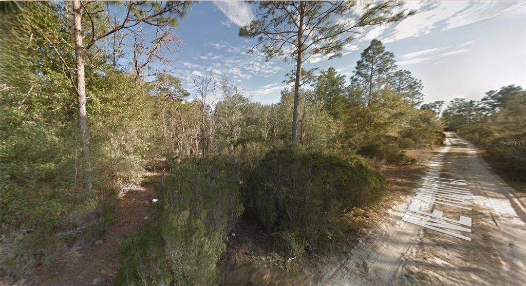 Photo of 7 NE 100th Ct, Bronson, FL 32621 (MLS # GC535970)