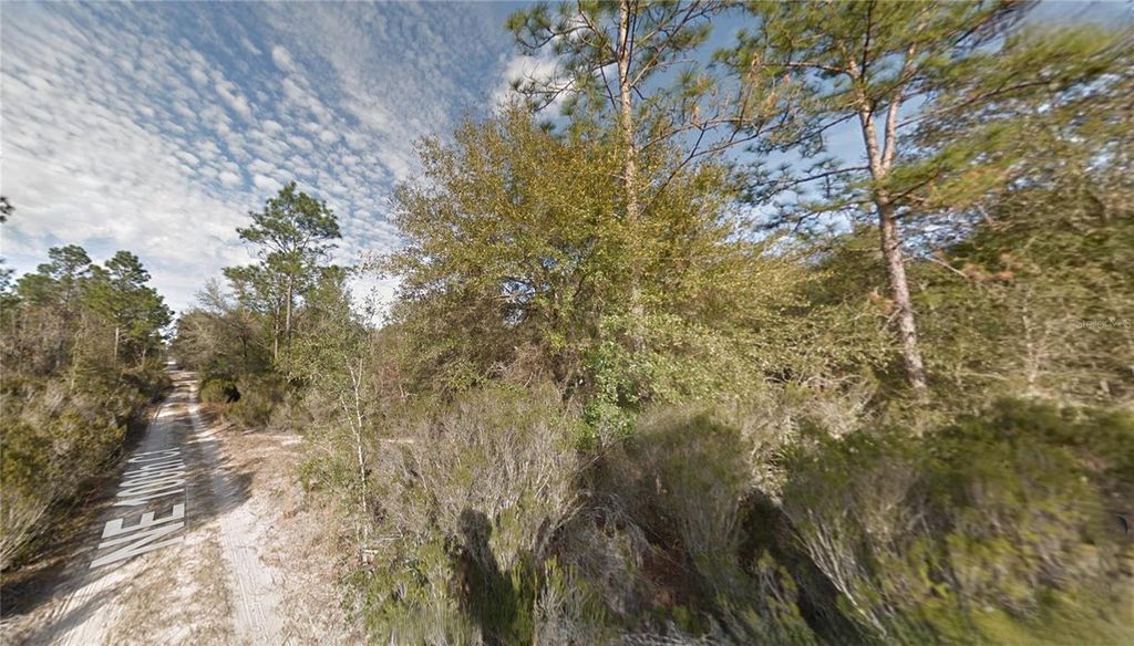 Photo of 7 NE 100th Ct, Bronson, FL 32621 (MLS # GC535970)