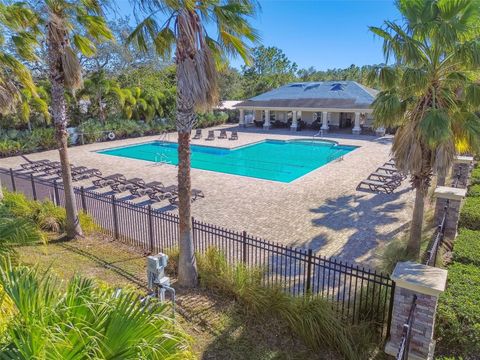 A home in WIMAUMA