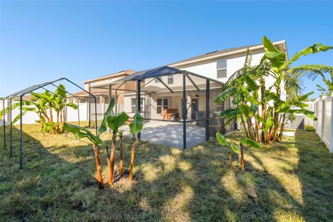 A home in WIMAUMA