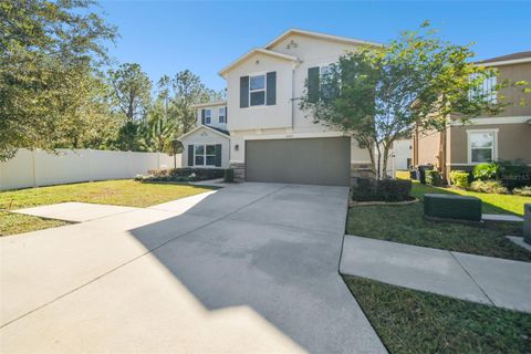 A home in WIMAUMA