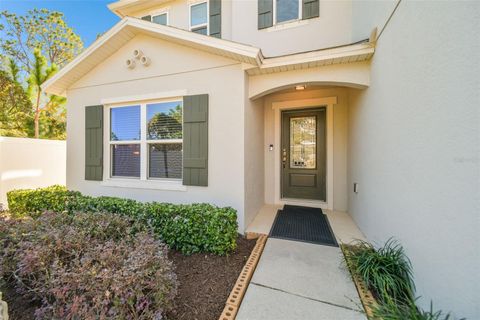 A home in WIMAUMA