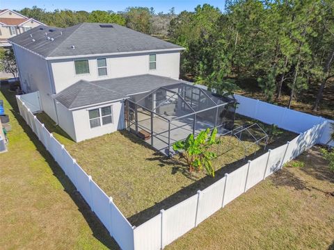 A home in WIMAUMA