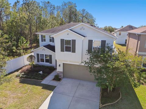 A home in WIMAUMA