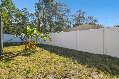 A home in WIMAUMA