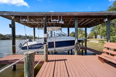 A home in PALM COAST