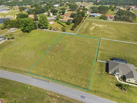 Photo of 147 N Spend A Buck Drive, Inverness, FL 34453 (MLS # TB8506062)