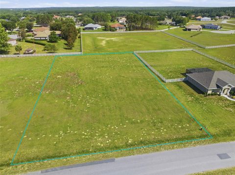 Tiny photo for 147 N Spend A Buck Drive, Inverness, FL 34453 (MLS # TB8506062)