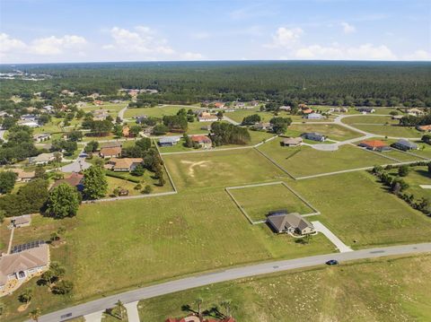 Tiny photo for 147 N Spend A Buck Drive, Inverness, FL 34453 (MLS # TB8506062)