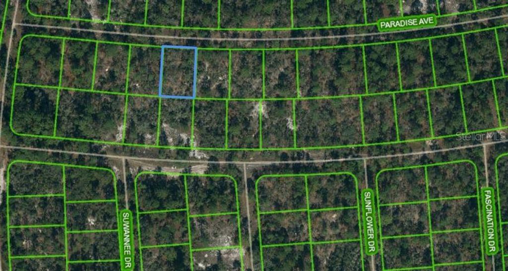 Photo of 357 Paradise Avenue, Lake Placid, FL 33852 (MLS # OM621109)