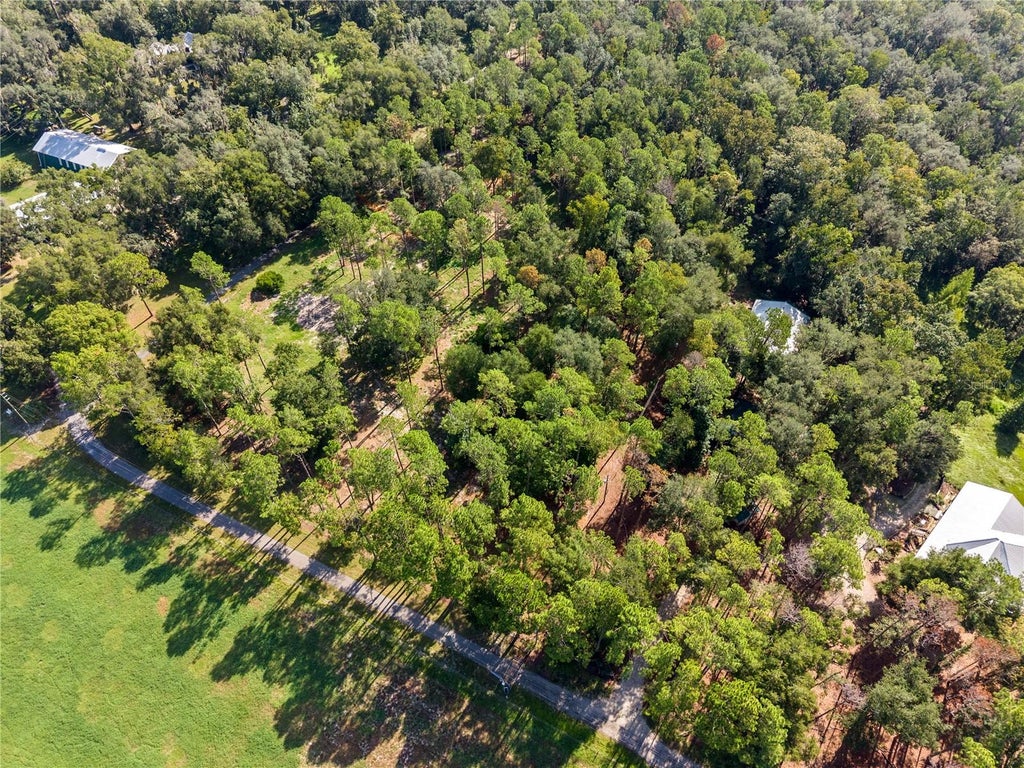 Photo of 1230 Katie Wood Trail, Brooksville, FL 34602 (MLS # L4964947)