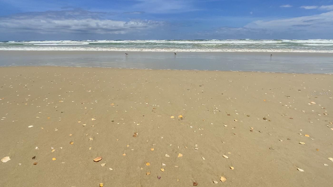 Errol By Sea - Residential