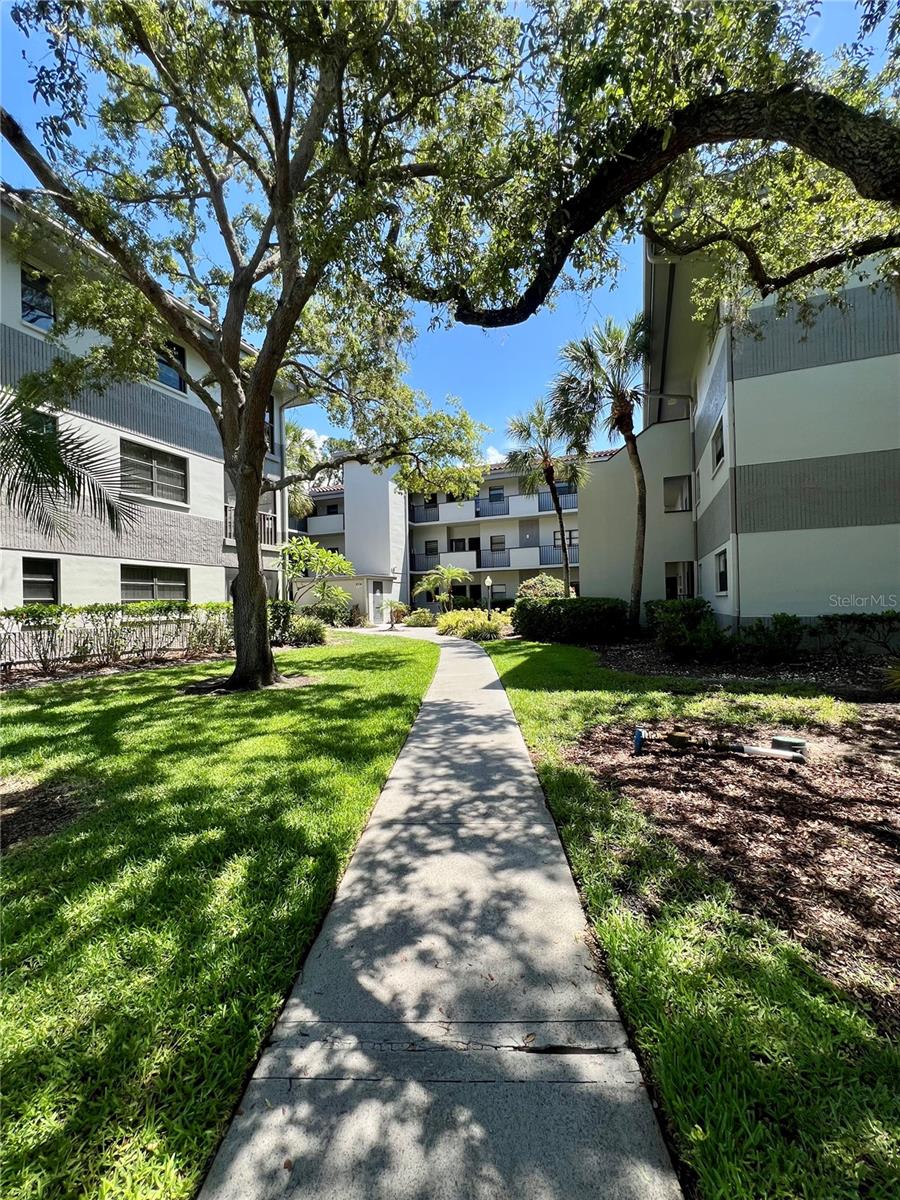 RUSTLEWOOD AT COUNTRYSIDE CONDO - Residential