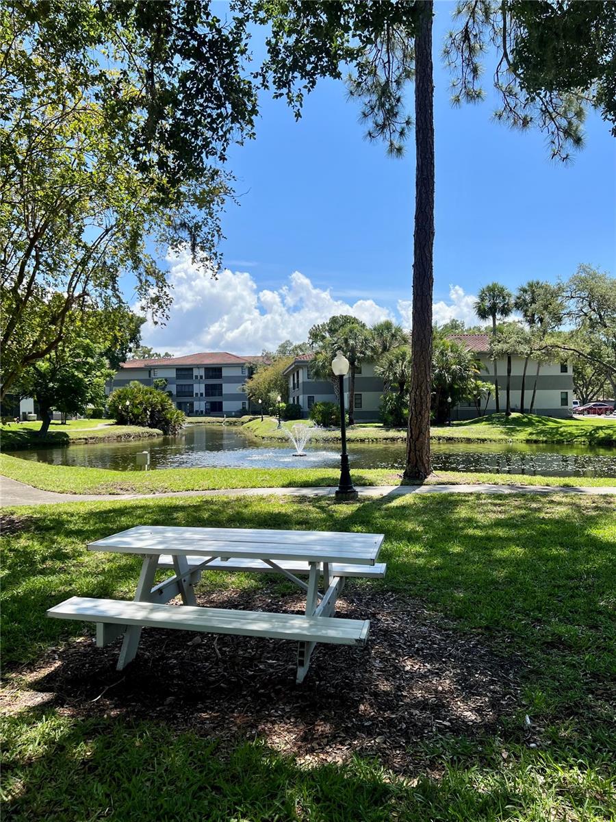 RUSTLEWOOD AT COUNTRYSIDE CONDO - Residential