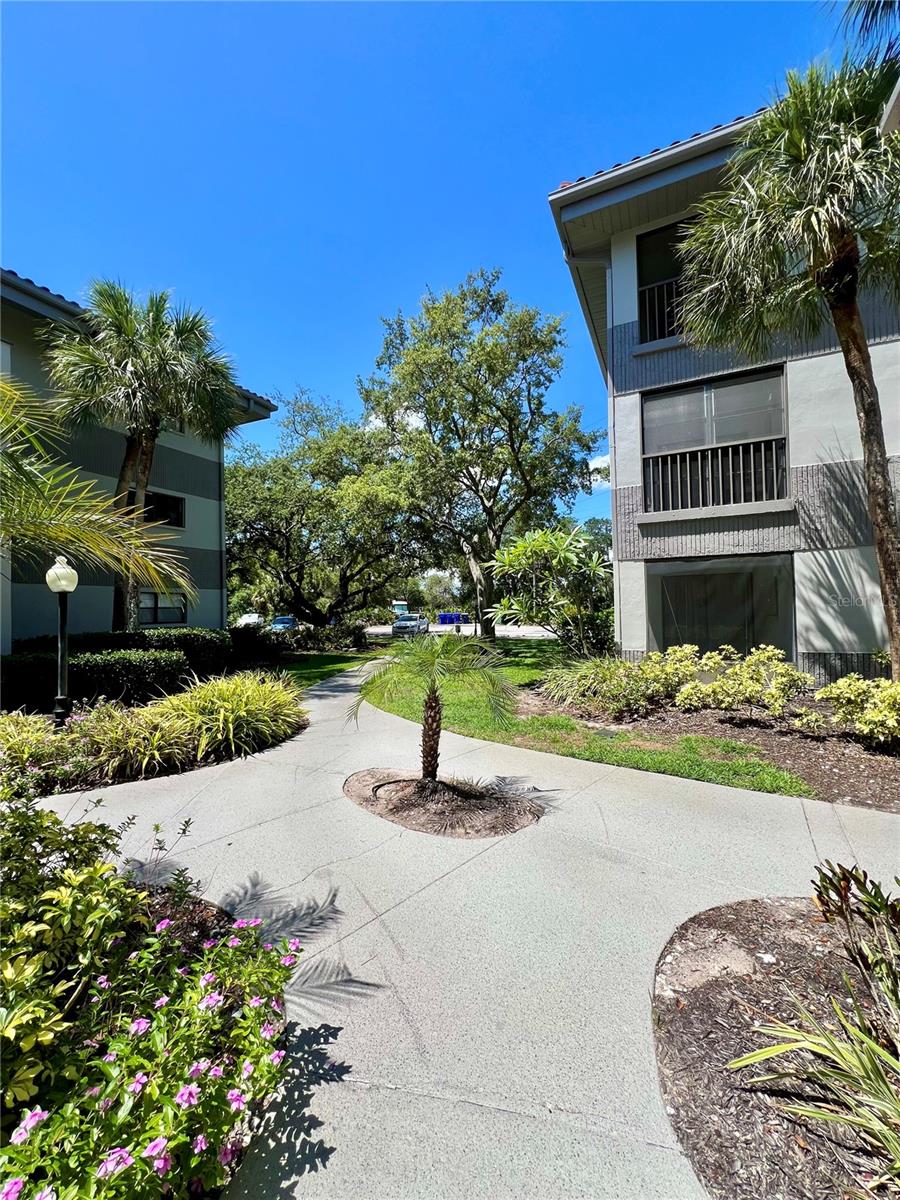 RUSTLEWOOD AT COUNTRYSIDE CONDO - Residential