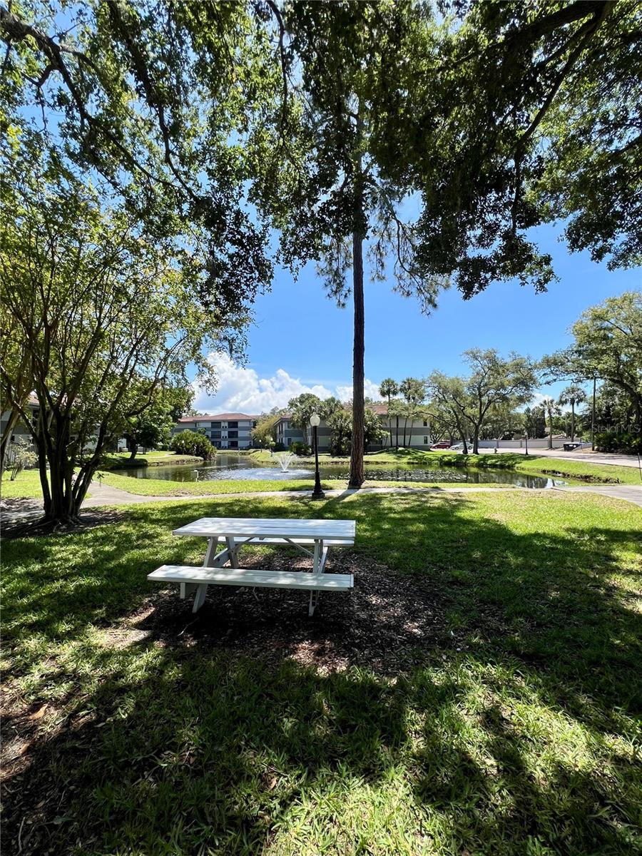 RUSTLEWOOD AT COUNTRYSIDE CONDO - Residential