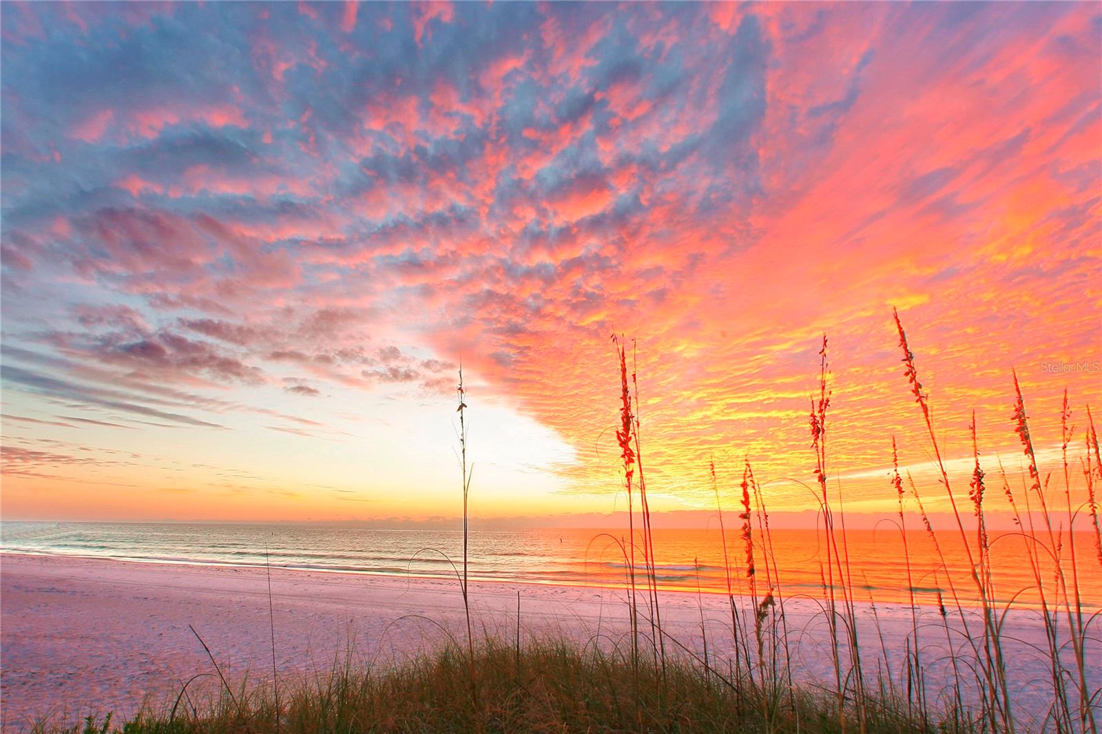 BAY ISLAND - Residential