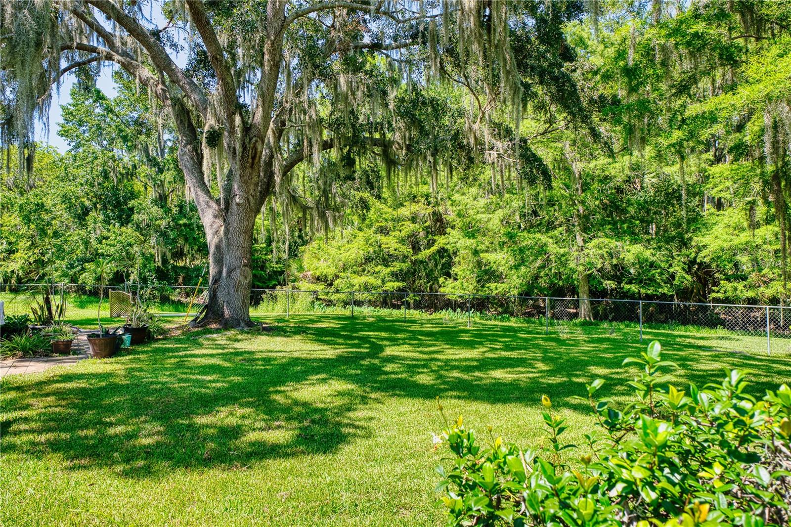 PALM COAST/BERNARD MDWS SEC 81 - Residential