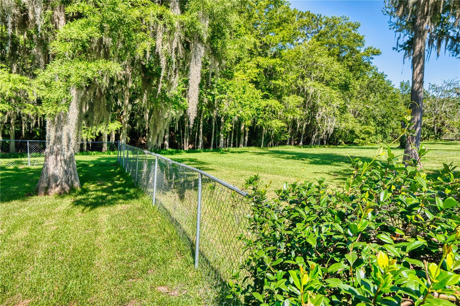 PALM COAST/BERNARD MDWS SEC 81 - Residential