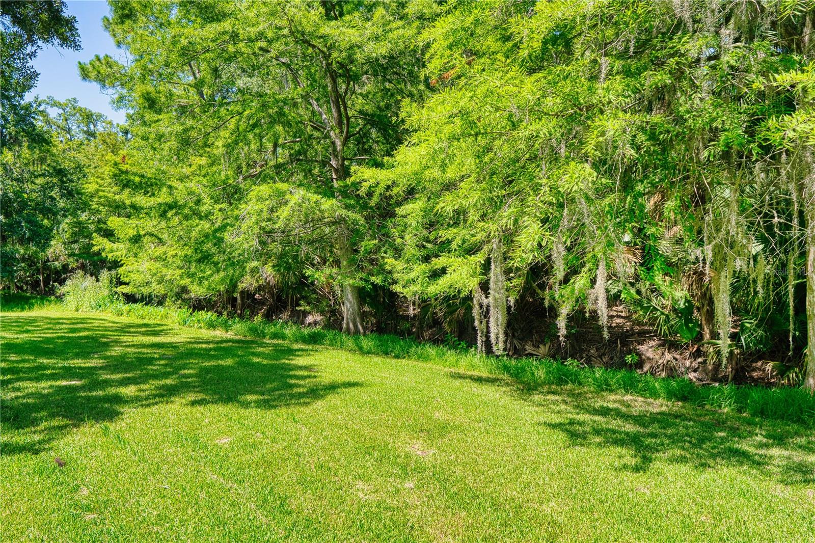 PALM COAST/BERNARD MDWS SEC 81 - Residential