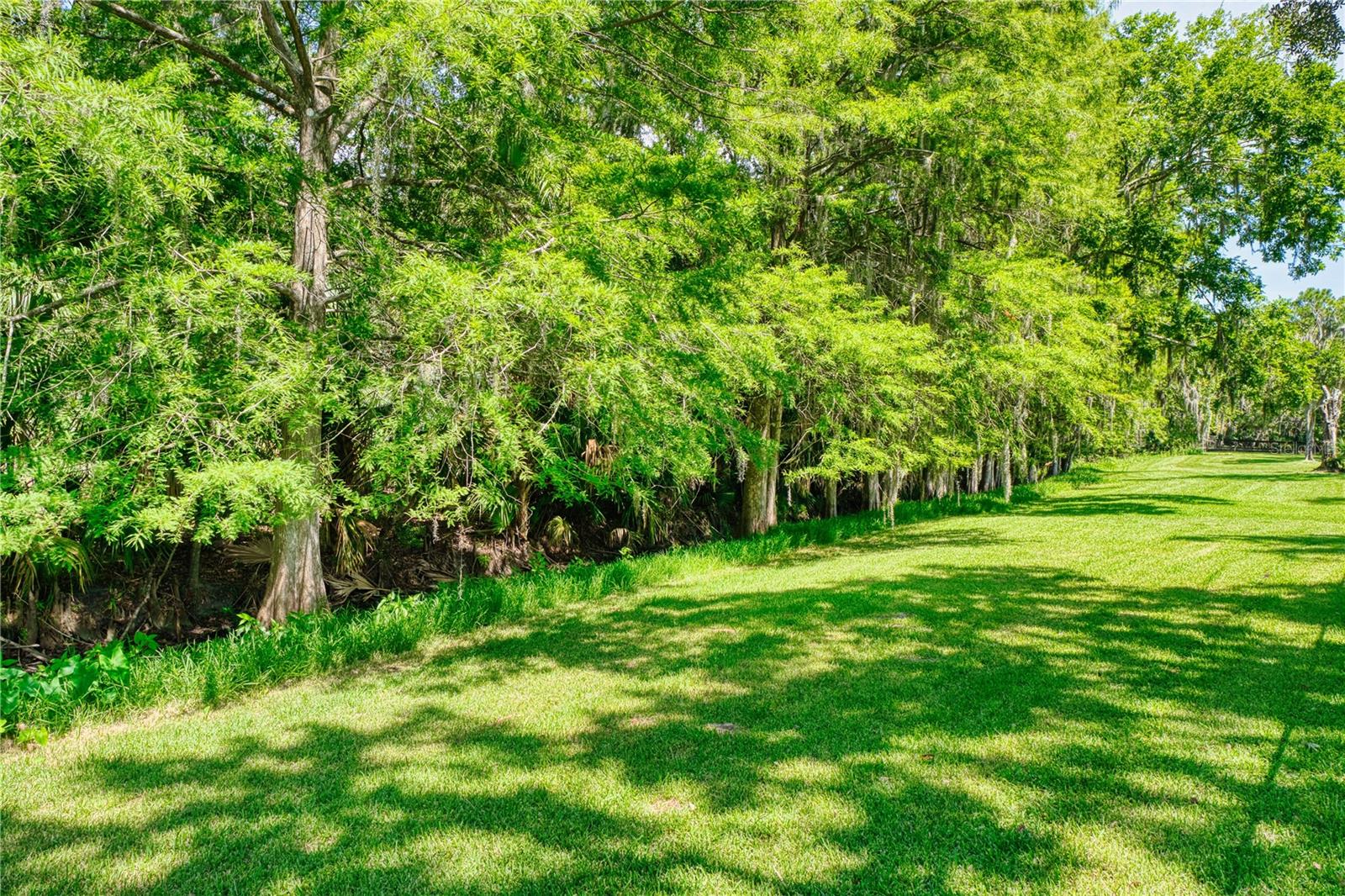 PALM COAST/BERNARD MDWS SEC 81 - Residential