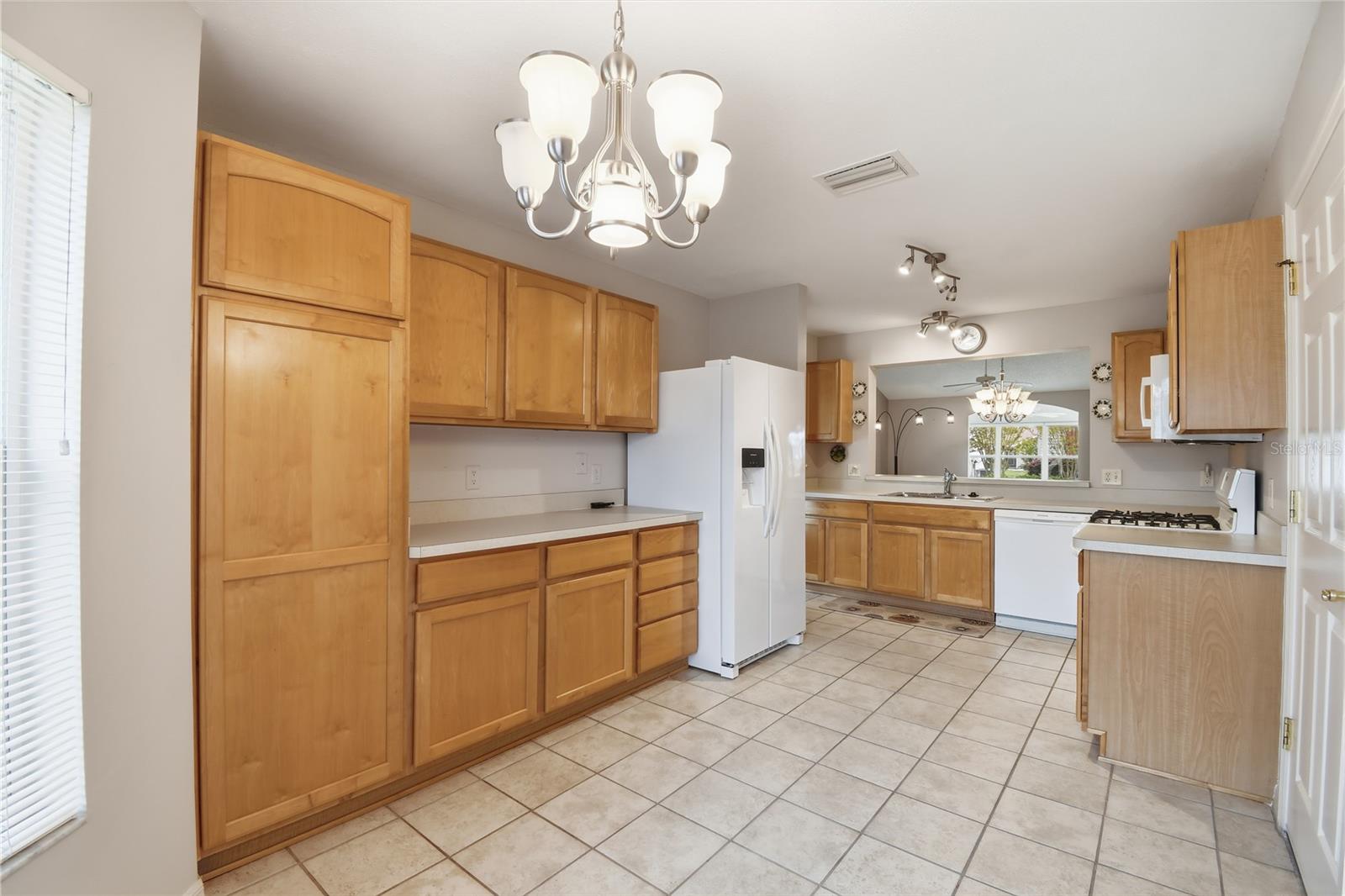 VILLAGES OF SUMTER - Residential